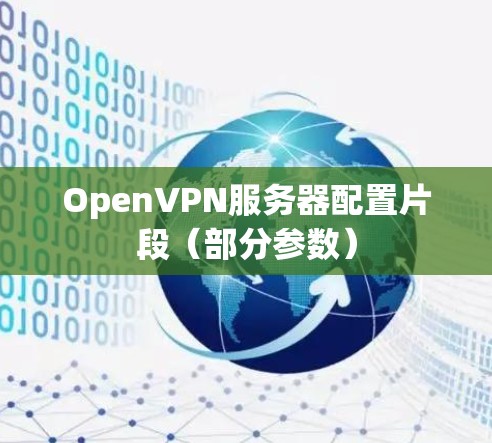 OpenVPN服务器配置片段（部分参数）