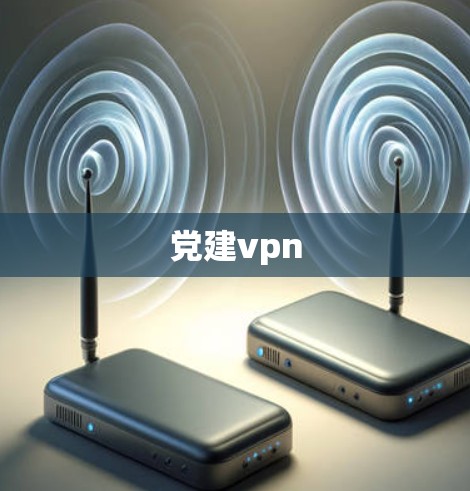 党建vpn