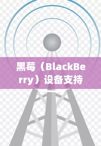 黑莓（BlackBerry）设备支持VPN（虚拟专用网络）功能，但具体操作和兼容性可能因设备型号、操作系统版本及VPN协议而异。以下是关于黑莓VPN的详细解答