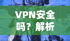 VPN安全吗？解析虚拟专用网络的安全性与风险